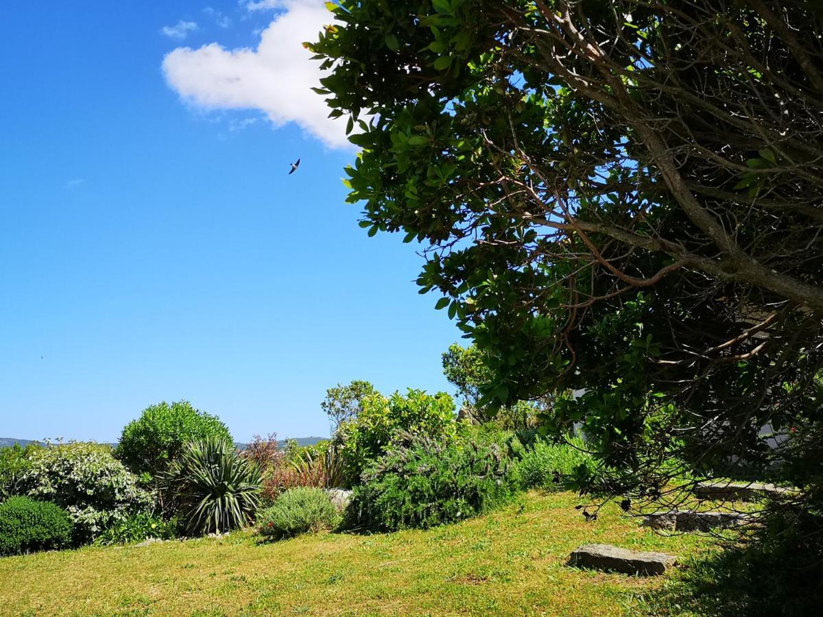 Appartements Avec Jardin Entre Porto-Vecchio Et Figari - Casa Mattiste Sotta Eksteriør billede